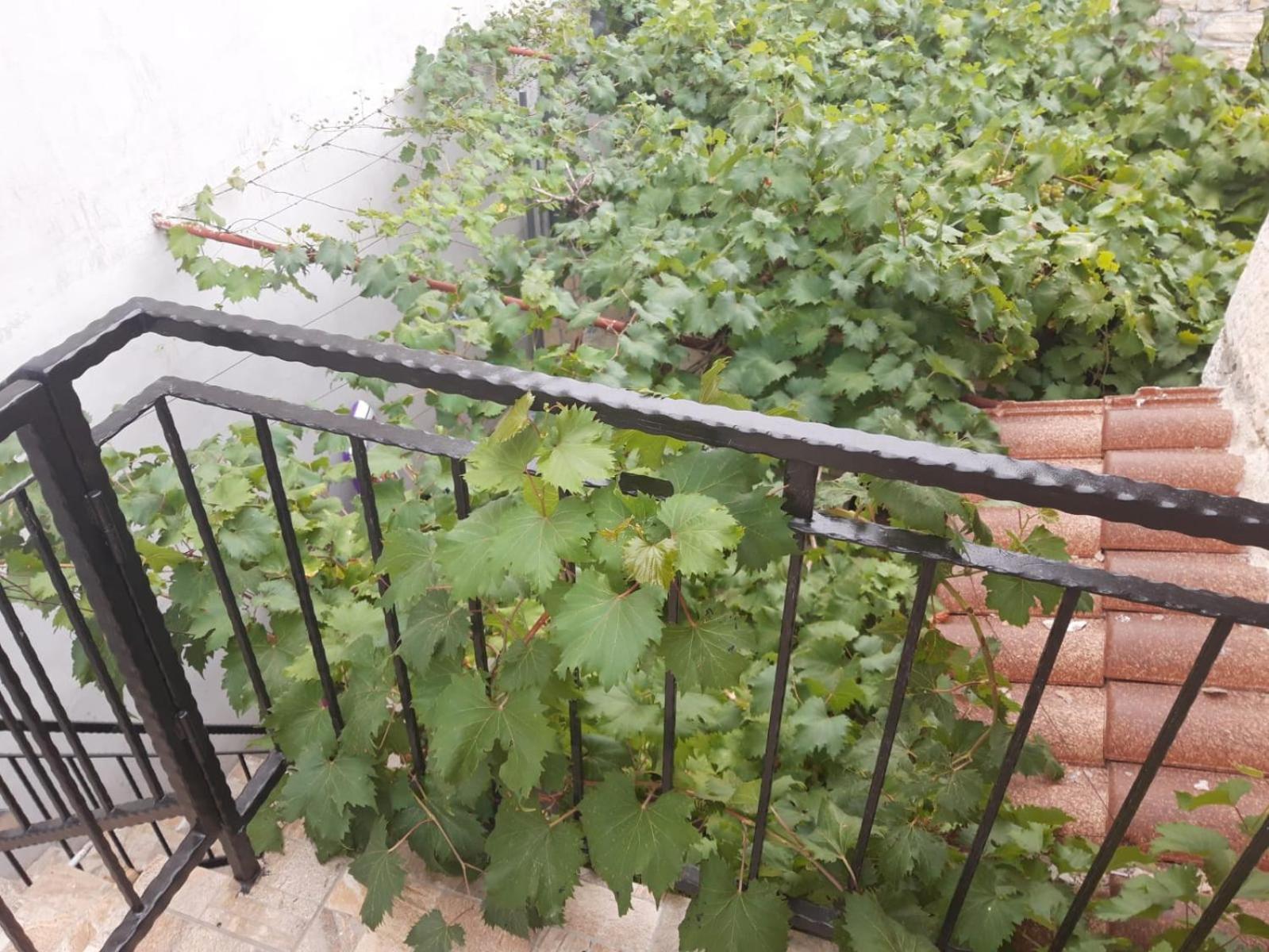 Melon-1, Murter, House For Rest Ngoại thất bức ảnh